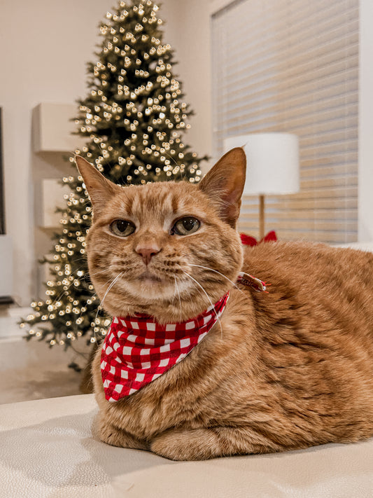 PETS -  GINGERBREAD WORKSHOP 2025 Christmas Pyjamas