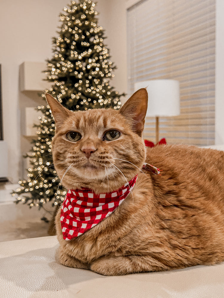 PETS -  GINGERBREAD WORKSHOP 2025 Christmas Pyjamas