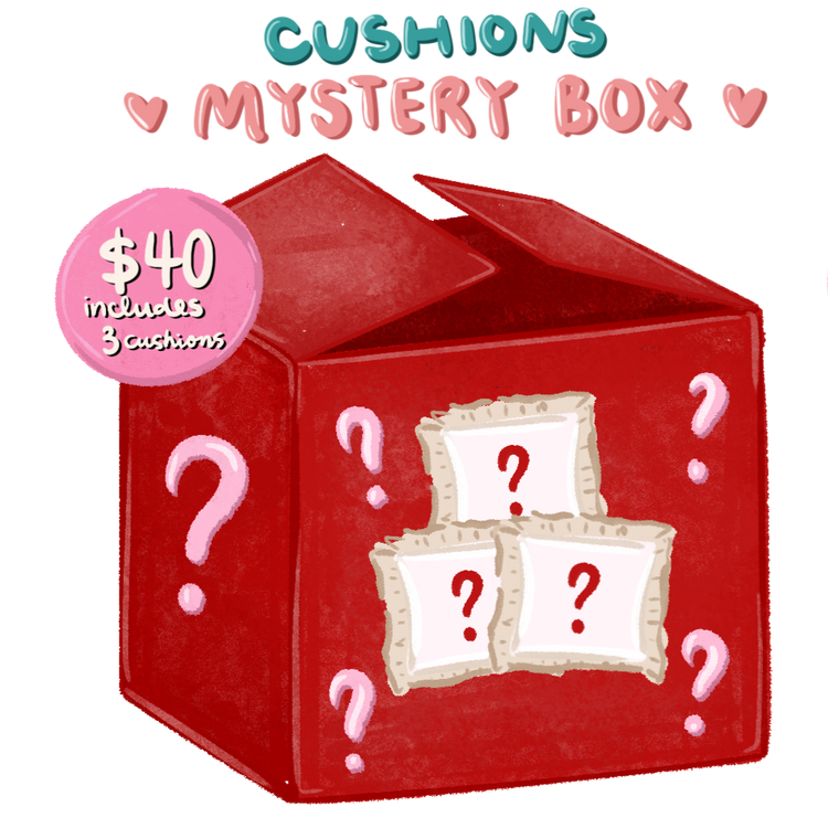 $40 CUSHIONS MYSTERY BOX