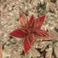 Frost Tartan Poinsettia